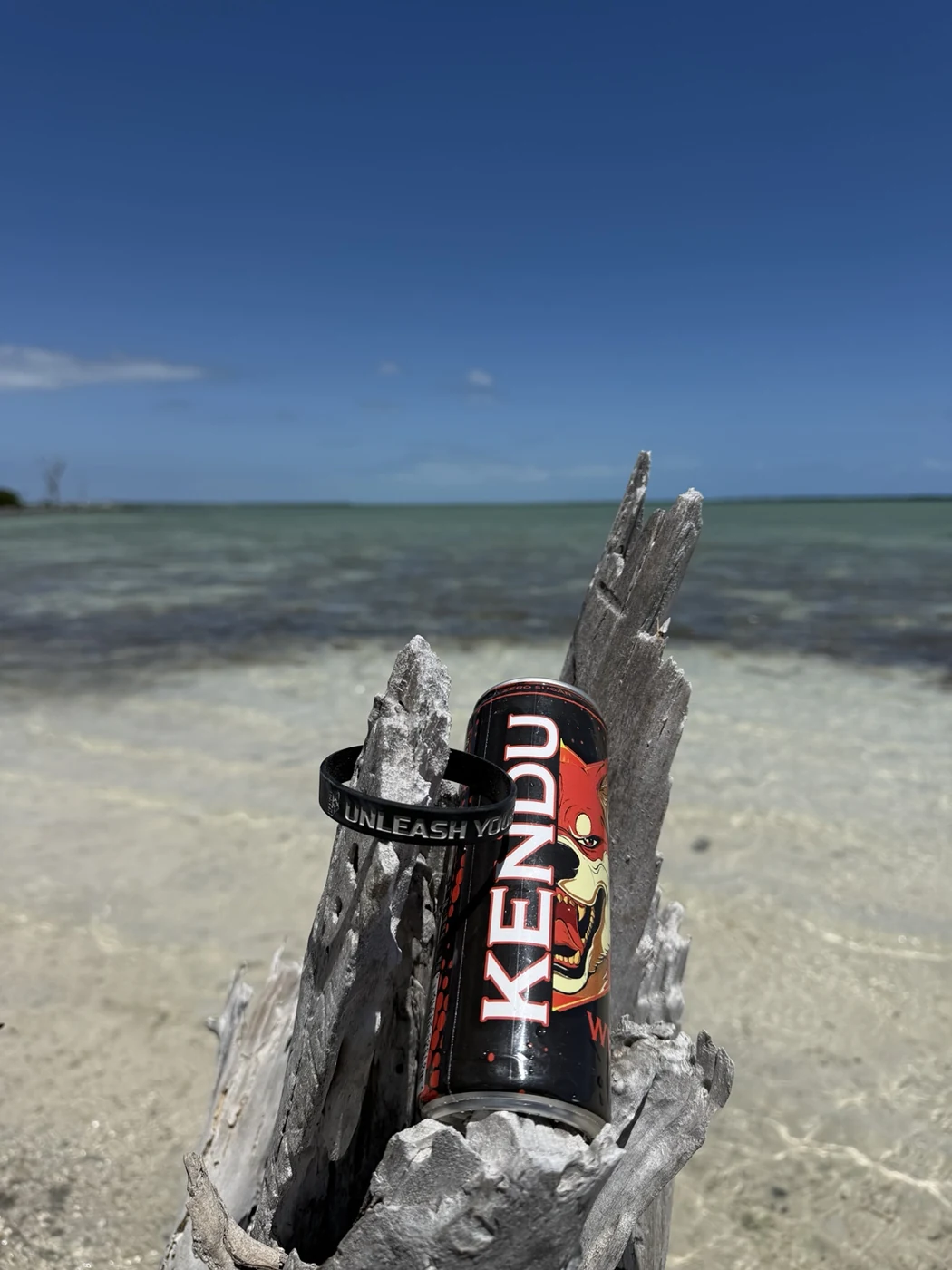 Kendu Energy can and Unleash wristband on driftwood beside the ocean