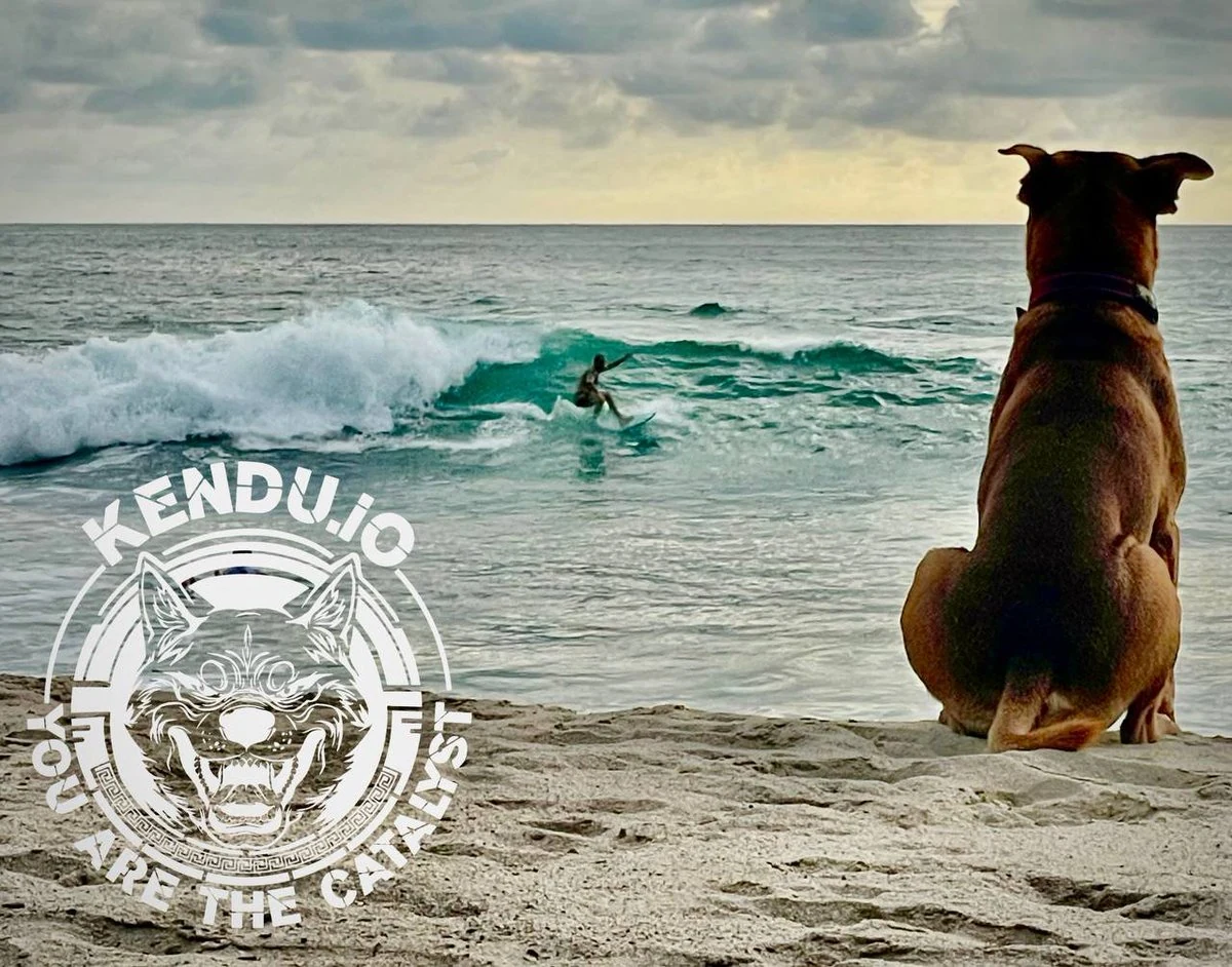 Dog on the beach watching a surfer, with Kendu community artwork